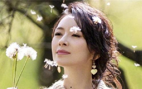 胖妞吃瓜看娱乐,笑谈娱乐圈风云变幻  第3张